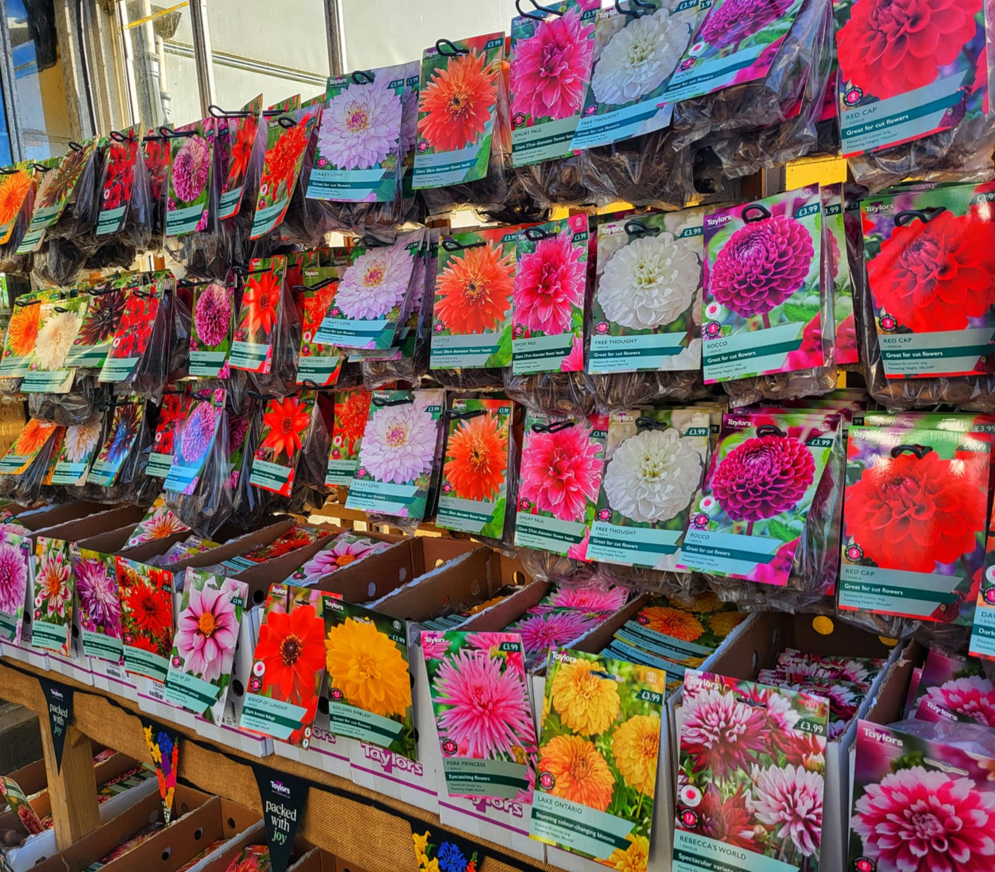 Summer Flowering Bulbs, Seed Potatoes, Onion Sets & Garlic Have Arrived ...