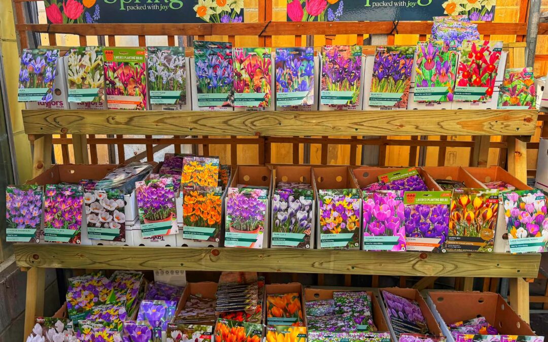 Spring Flowering Bulbs Are Here!